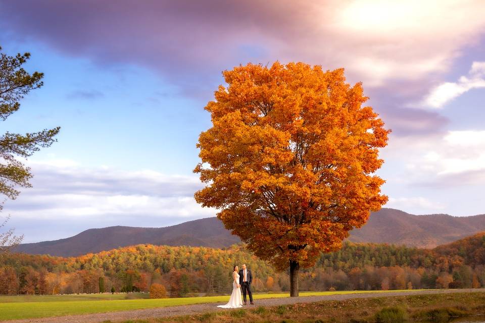 Tiffany Hanlon Photography
