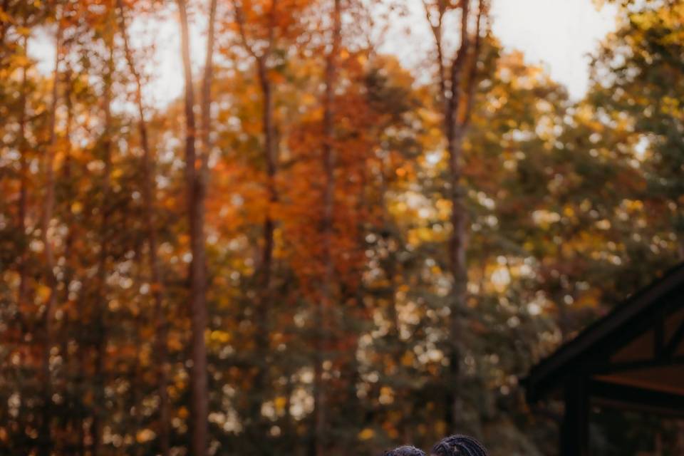 Tiffany Hanlon Photography