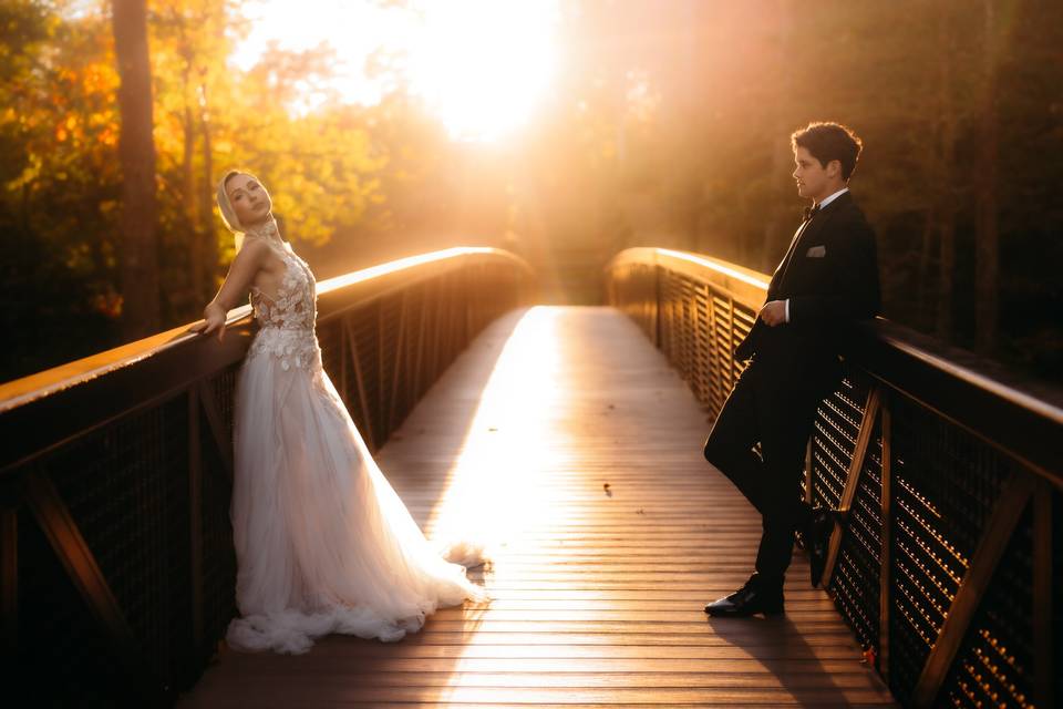 Tiffany Hanlon Photography