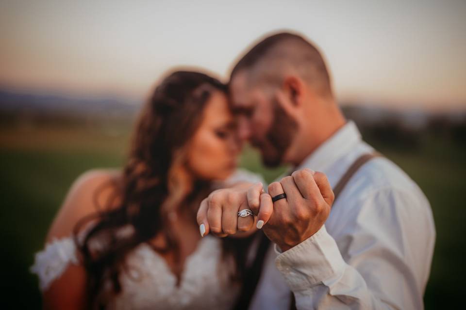Tiffany Hanlon Photography