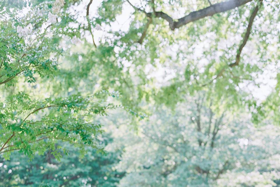 Curtis Arboretum Wedding