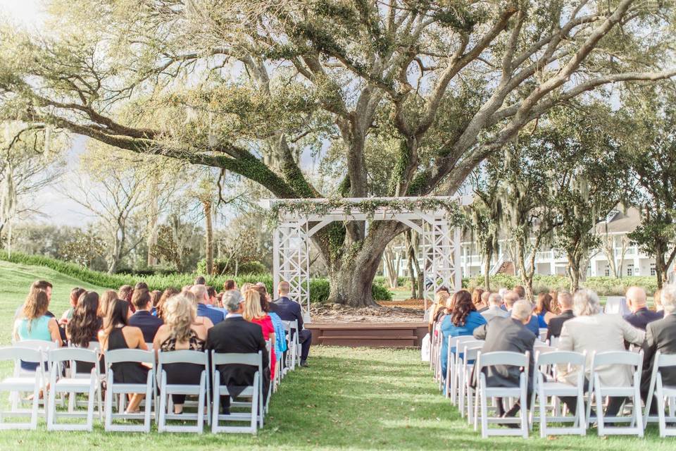 Wedding under a tree