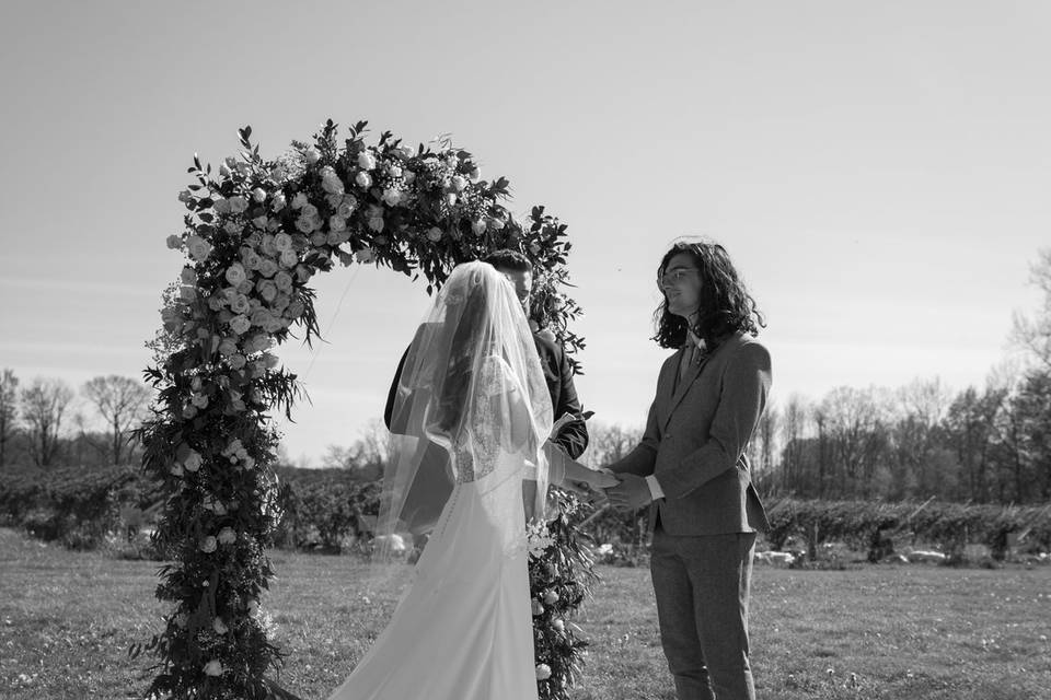 Courtney Schultz Photography