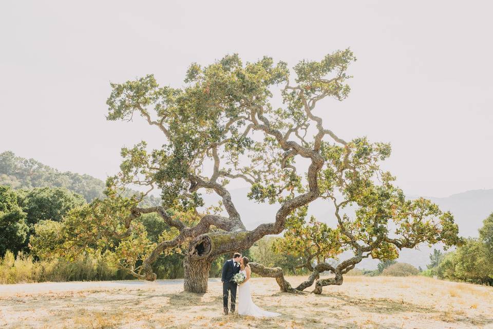 Holman Ranch Wedding