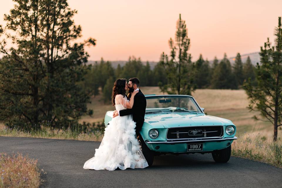 Pop of Pure Photography