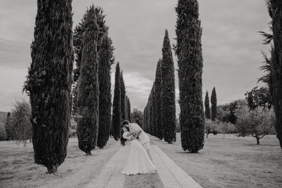 Cipressi