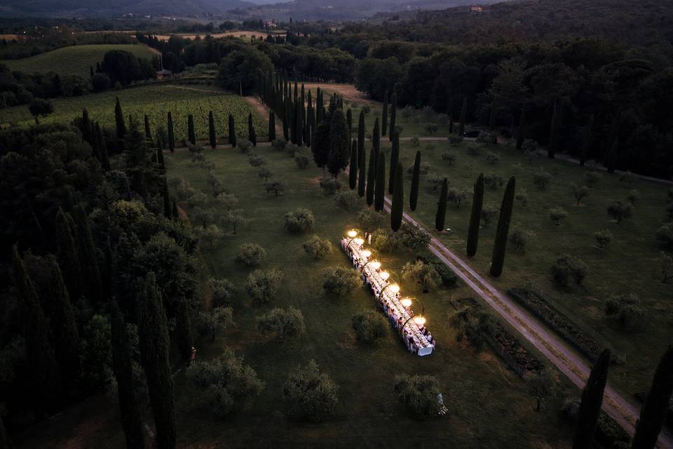 Cena neli olivi