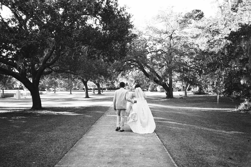 Our Brides