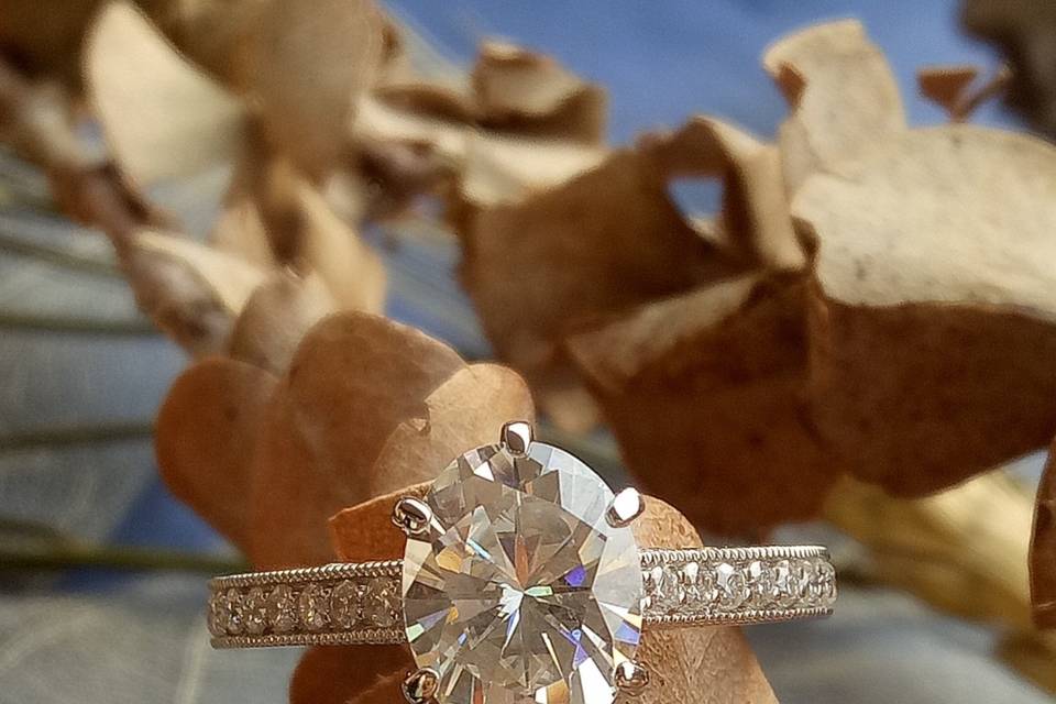 Doveggs Engagement ring