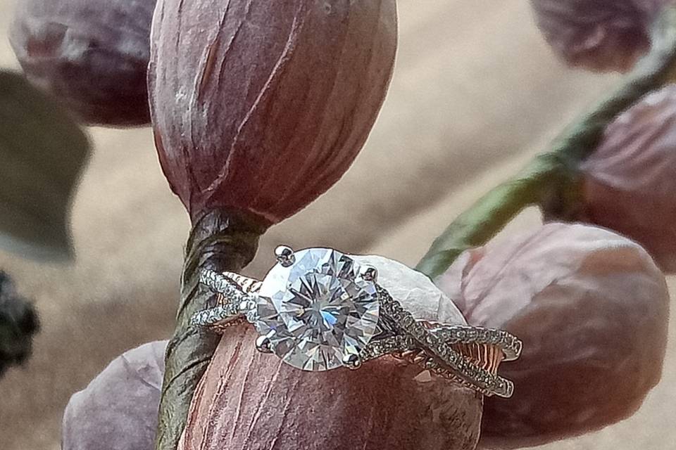 Doveggs Engagement ring