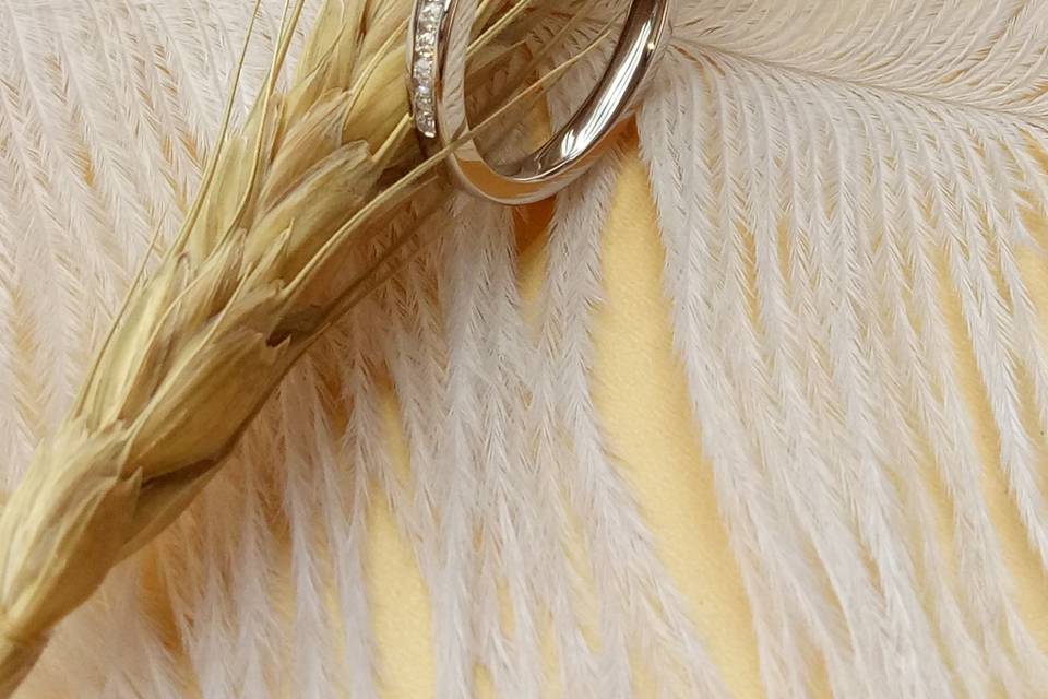 Doveggs wedding band