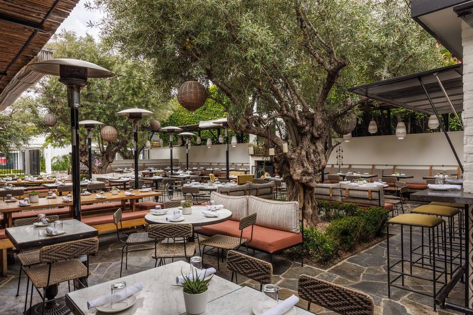 Patio Dining