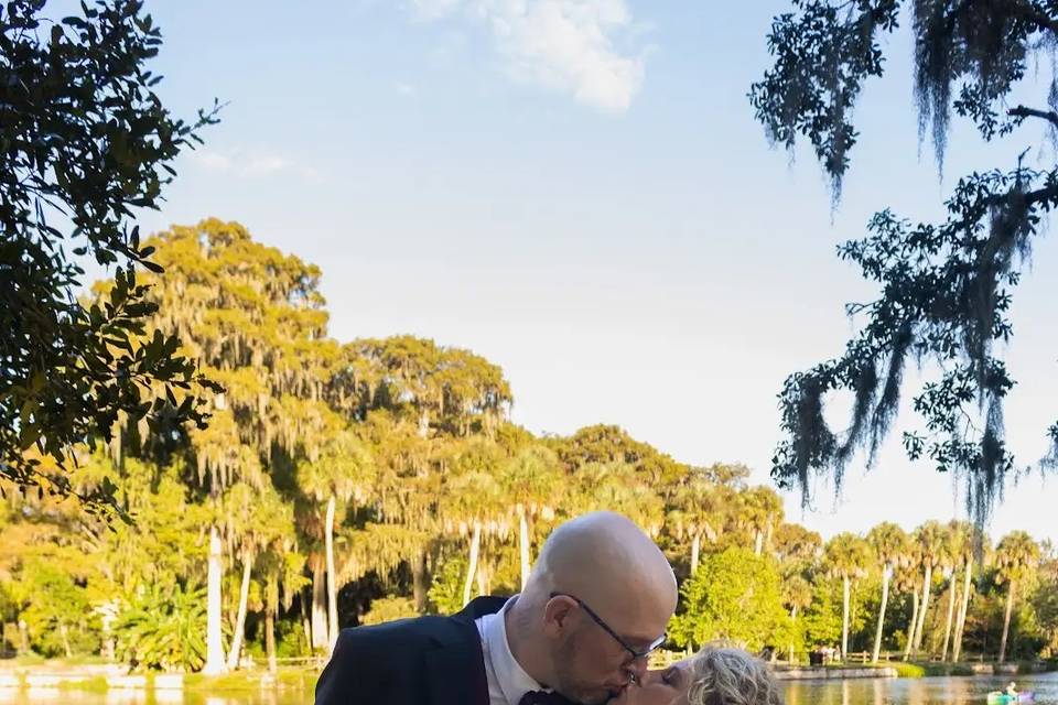 Brown Wedding
