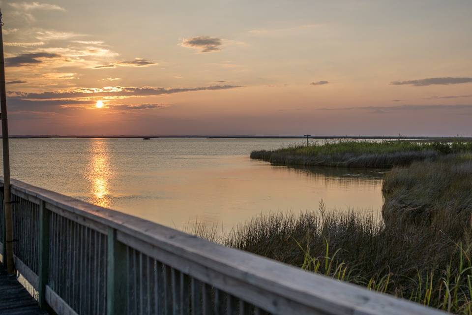 Views from Pavilion Deck