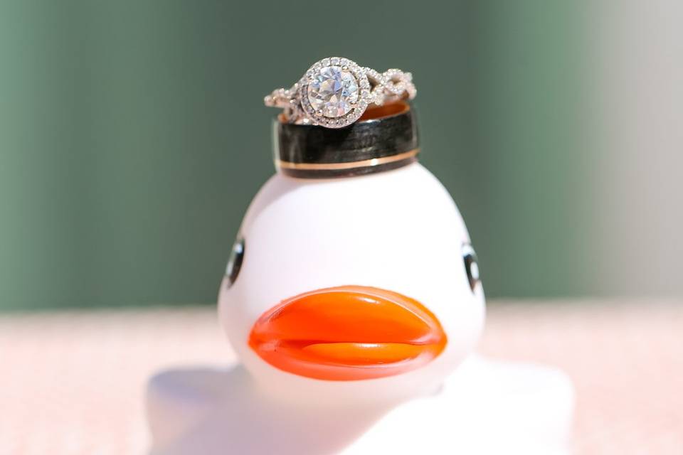 The Duck has the Rings