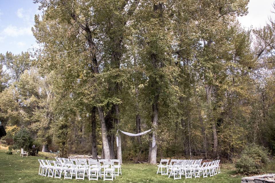 Forest wedding setting
