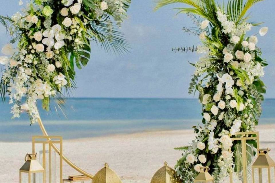 Beach Wedding Set Up