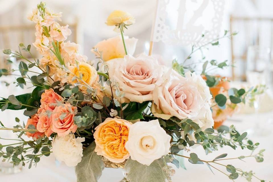 White and yellow flowers