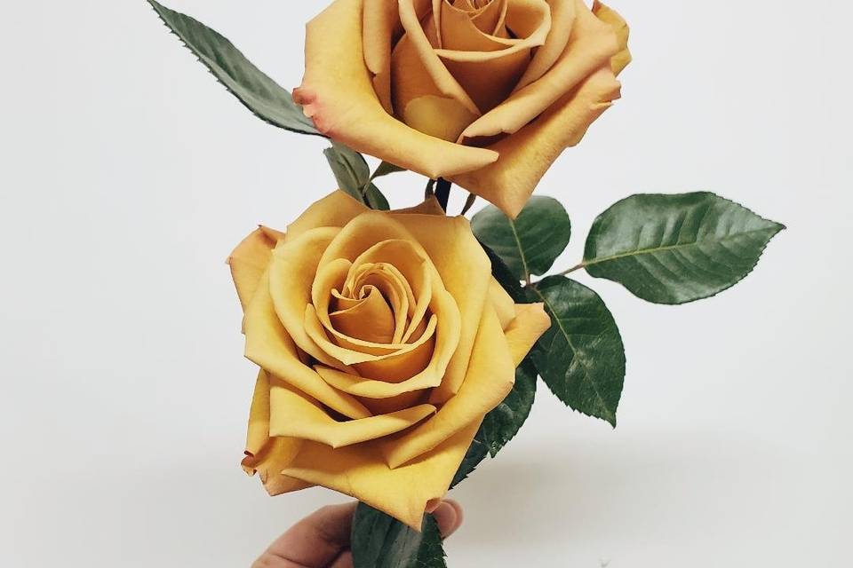 Gold rose