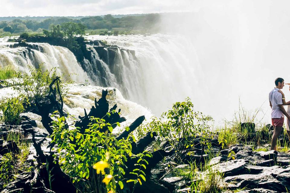 Victoria Falls