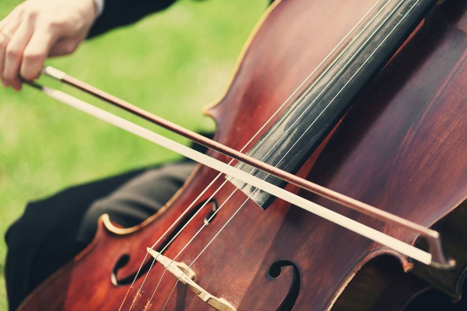 Cellist at outdoor wedding