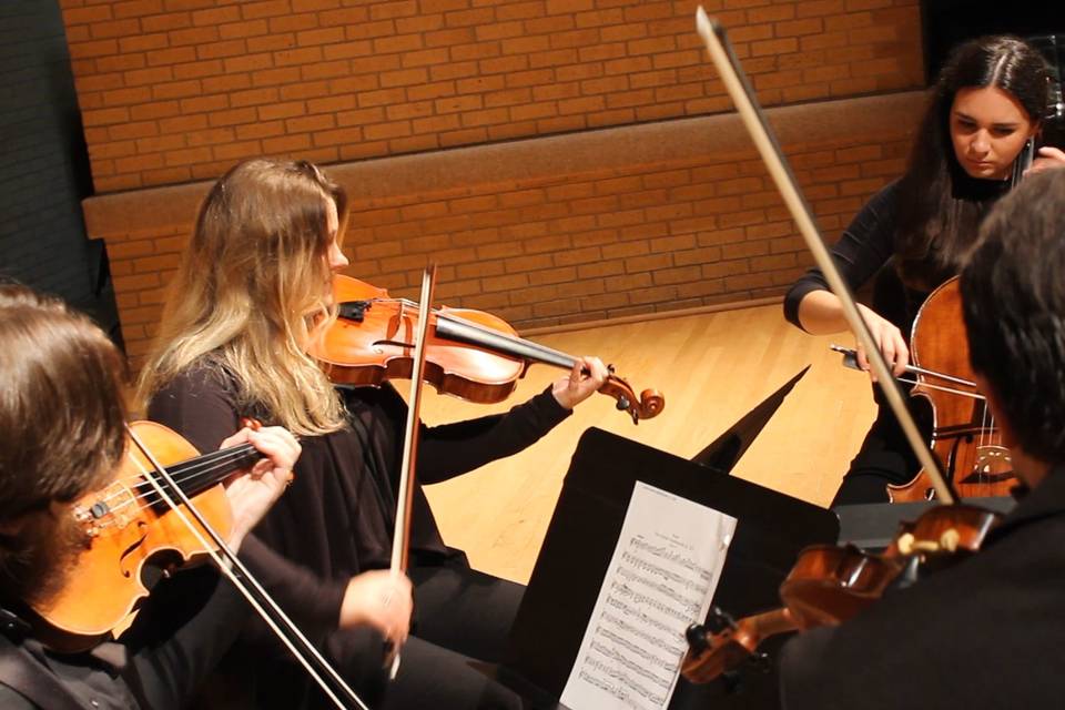 Quartet performs in concert