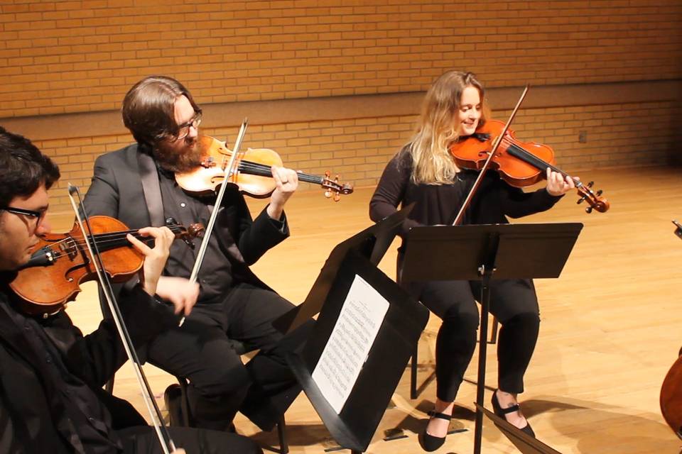 Trio performs in concert