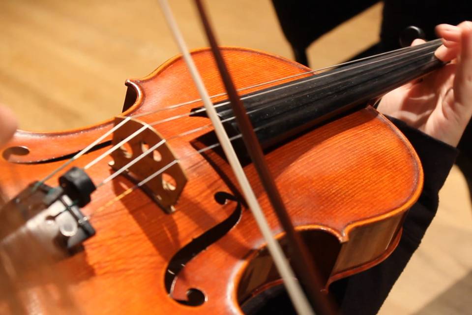 Closeup of viola in concert