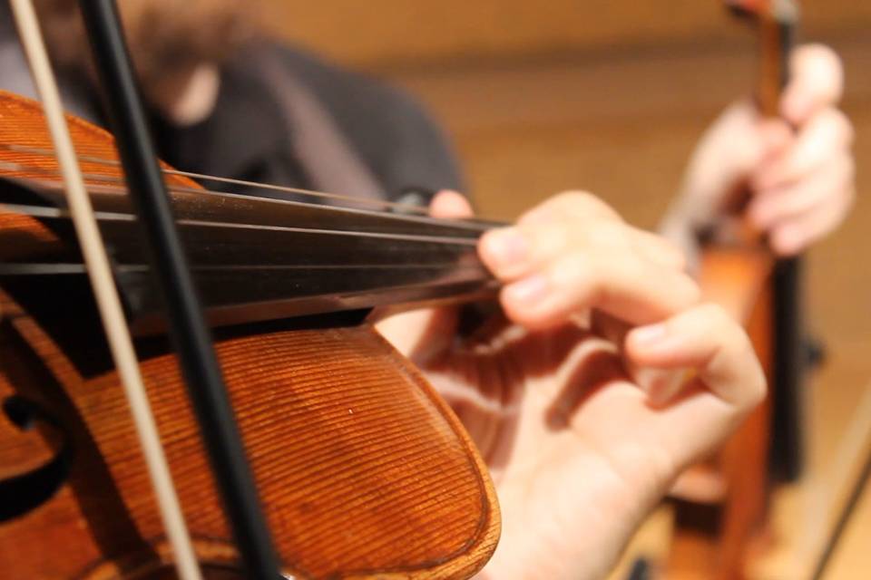 Closeup of violin in concert