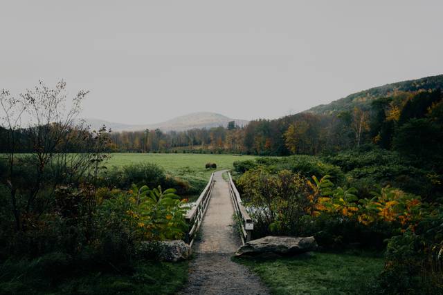 The Windham Path
