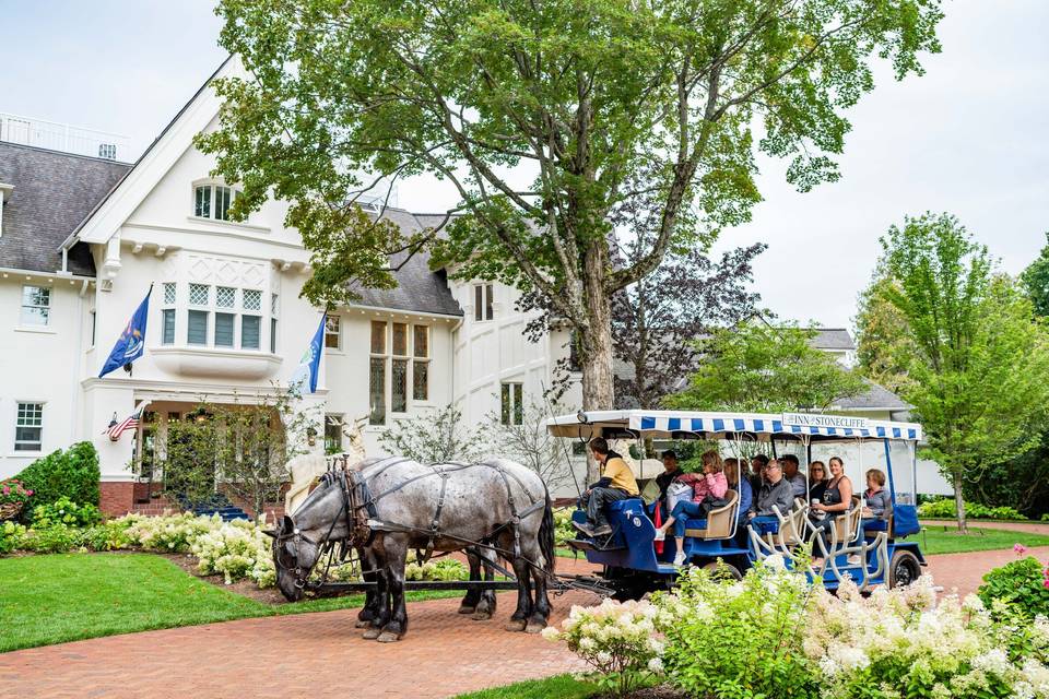 Horse Drawn Carriage
