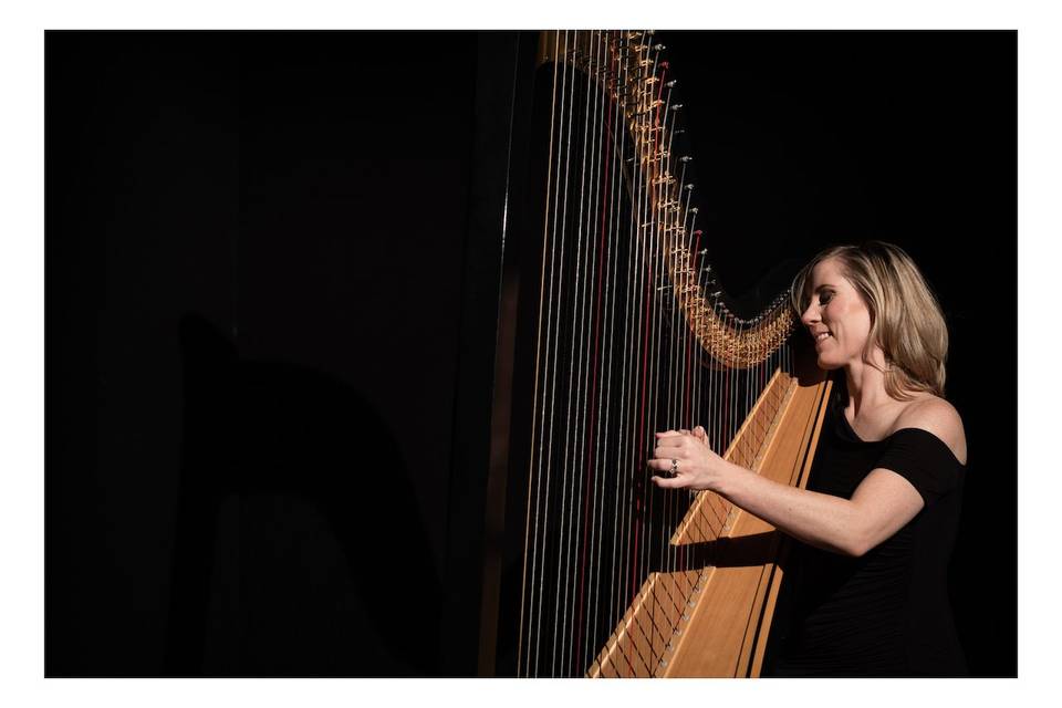 Jessica Schaeffer, Harpist
