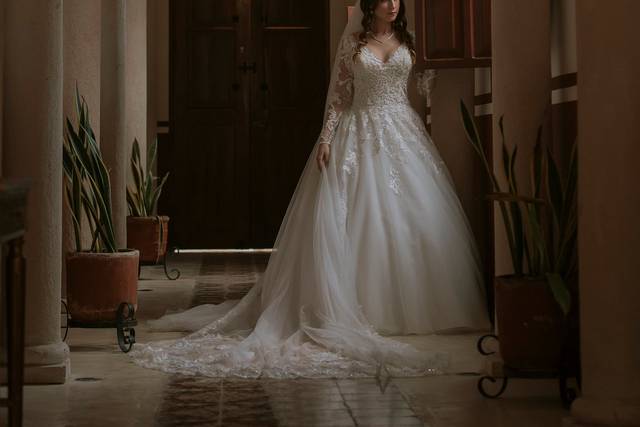 Frank Suero Wedding Photograph