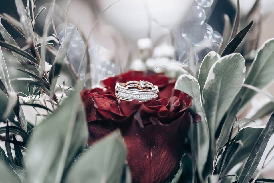 Frank Suero Wedding Photograph