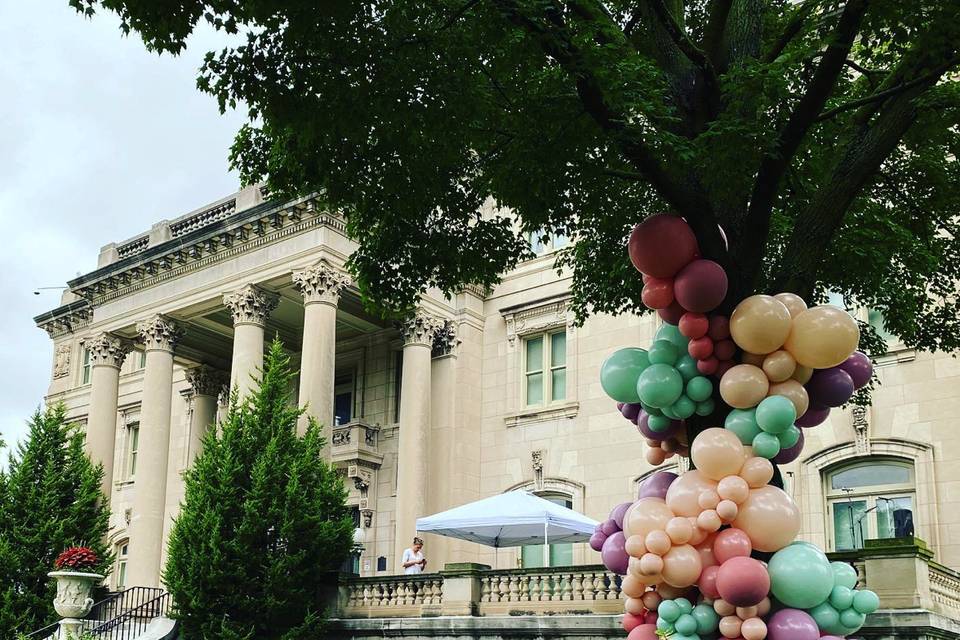 Museum garden