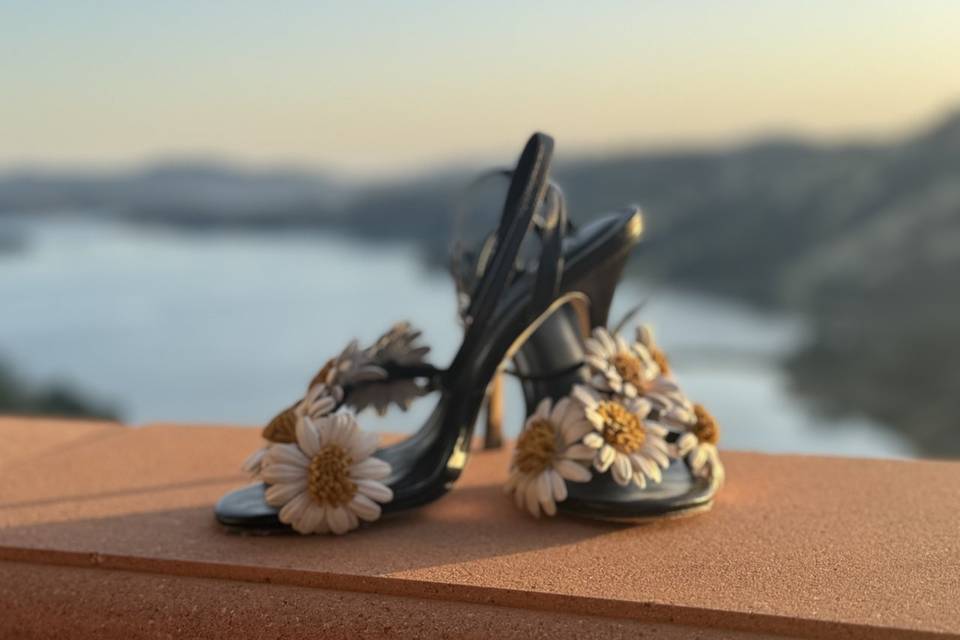 Shoes and views