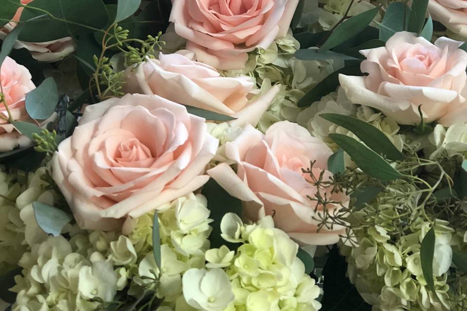 Blush roses