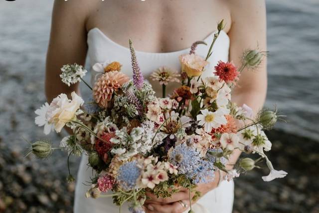 Daisies in May