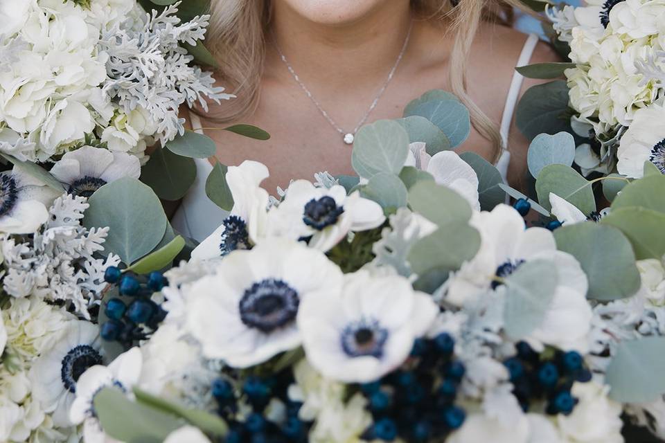 Anemones