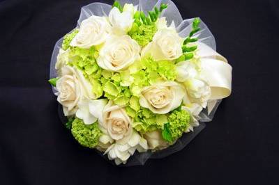 White Rose/Green Hydrangea/White Freesia Bouquet
