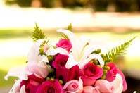 Pink Roses/White Lilies/Fuscia Roses/Sword Fern Wedding Bouquet