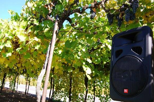 Speaker in Napa Valley Ceremony