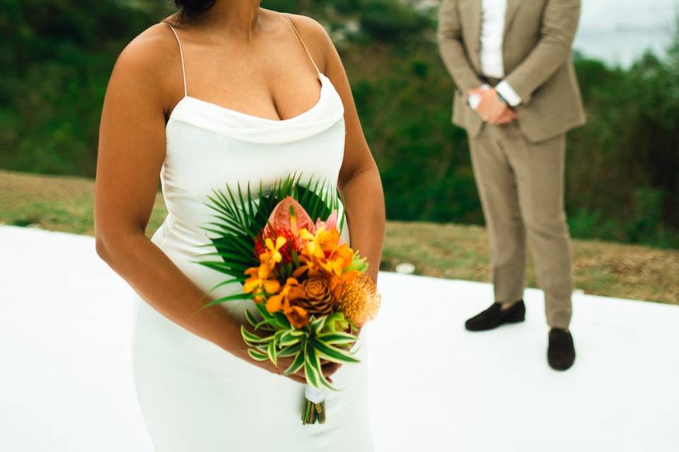 A Sugar beach Wedding