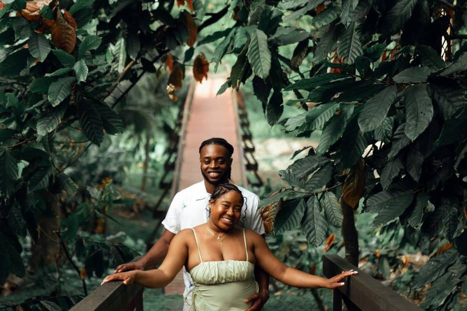 The chocolate plantation