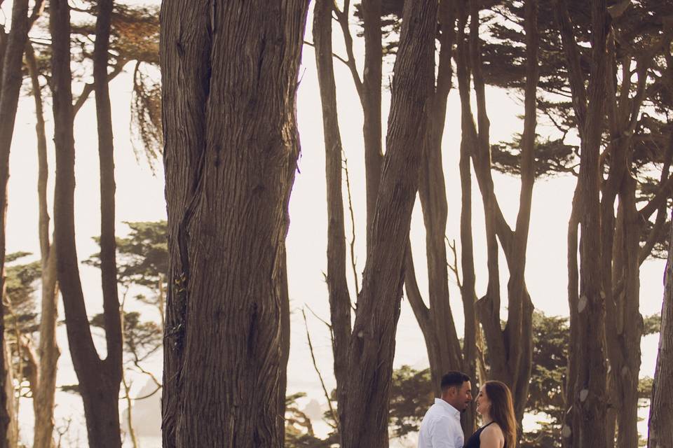 Meet me in the woods