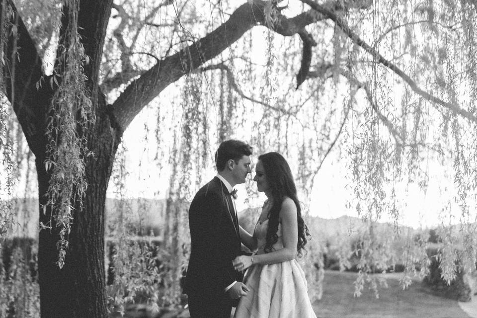 Under the tree