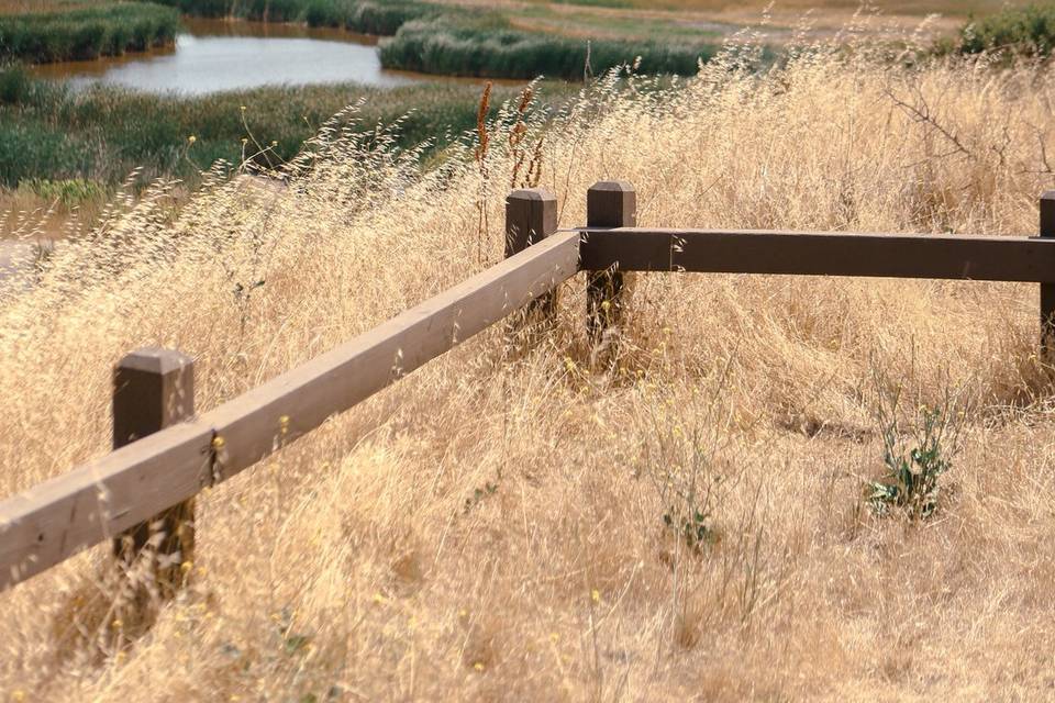 Plains