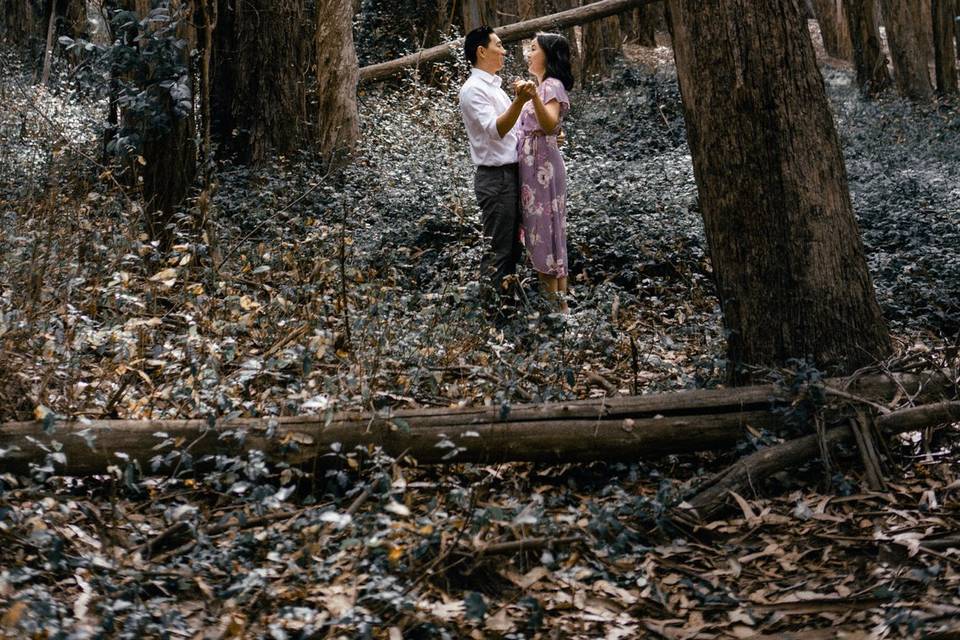 Forest fairytale
