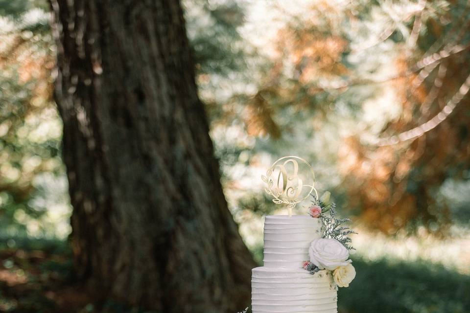 Gorgeous cake!