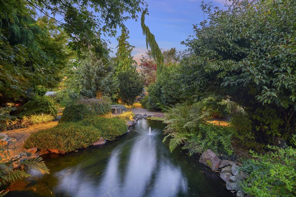 Ornamental Pond